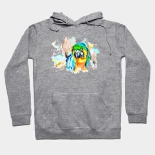 Macaw Hoodie